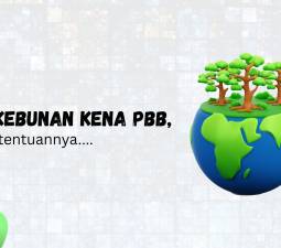 Simak Dasar Pengenaan Pajak Bumi dan Bangunan untuk Perusahaan Perkebunan